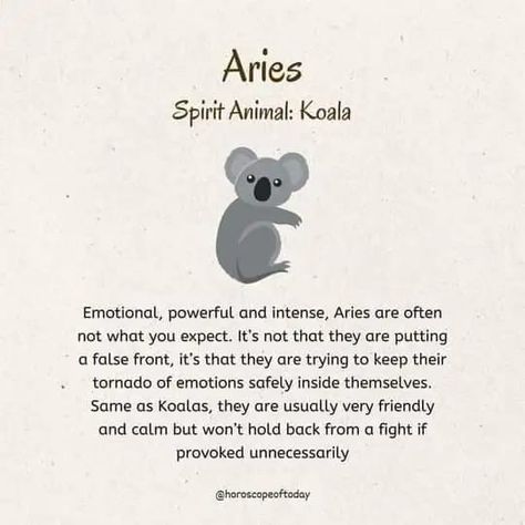 Koala Soul Zodiac Sign Descriptions, February Pisces, Libra Zodiac Signs, Spiritual Animals, Aries Symbol, Zodiac Crystals, Leo Zodiac Quotes, Book Of Secrets, Zodiac Chart