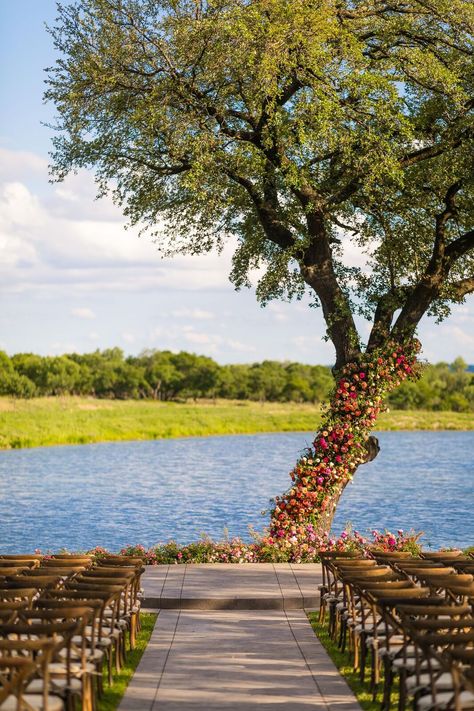 Oak Tree Wedding Ceremony, Place Card Display, Emily Clarke, Tree Wedding Ceremony, Waterfront Wedding Ceremony, Oak Tree Wedding, Bows And Arrows, Floral Tree, Wedding Day Photos