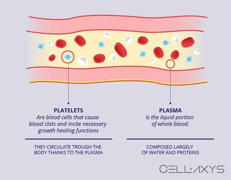 Platelet Rich Plasma Therapy, Platelet Rich Plasma, Regenerative Medicine, Blood Cells, Our Body, Beauty Health, Medicine, Healing, Health