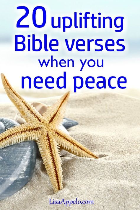 Hard Times Bible Verses, Verses On Peace, Scripture Promises, Hope Verses, Verses About Peace, Peace Bible Verse, Peace Meaning, Peace Scripture, Encouraging Verses