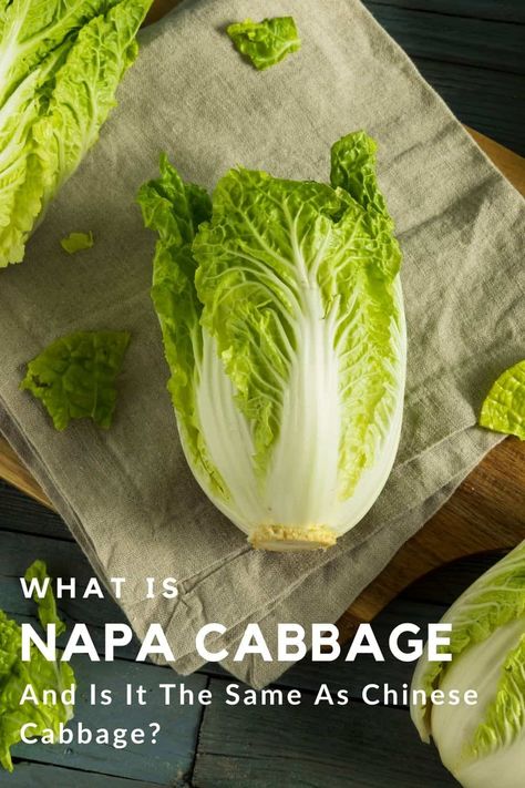 Among the many types of Chinese cabbages, napa cabbage stands out the most. CookingChew tells us why these Chinese leaves are getting more attention in this guide. Plus, some tips on how to store and cook them are revealed! Chinese Leaves, Asian Coleslaw, Boiled Cabbage, Types Of Cabbage, Cabbage Rice, Cabbage Head, Vegetarian Cabbage, Healthy Morning Routine, Napa Cabbage