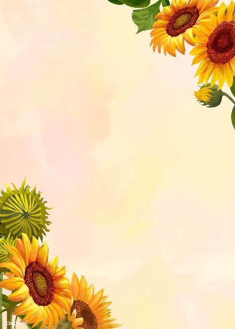 Hand drawn sunflower on a yellow background vector | premium image by rawpixel.com Hand Drawn Sunflower, Drawn Sunflower, Sunflower Illustration, Sunflower Drawing, Sunflowers Background, Postcard Mockup, Sunflower Cards, Design Picture, Hand Images