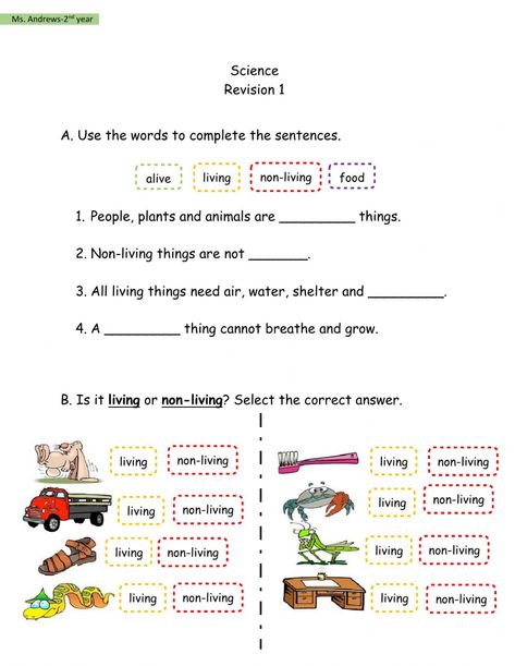 Cursive Writing Practice Sheets, Science Revision, Living And Nonliving, Worksheets For Class 1, First Grade Science, Work Sheet, Science Activity, Science Worksheets, Cursive Writing