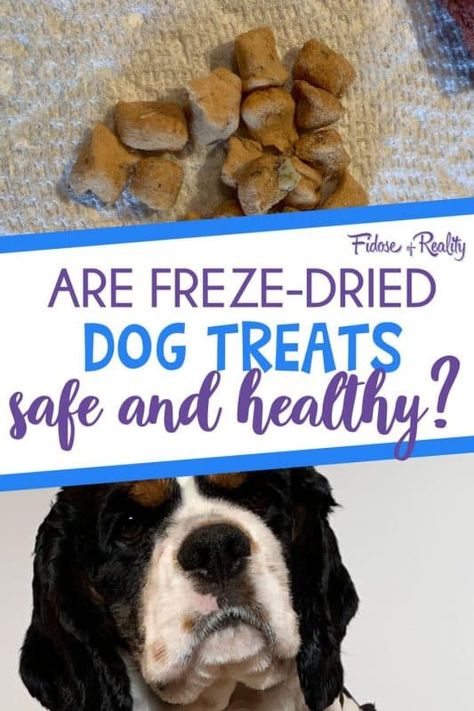 Freeze Dry Dog Treats Diy, Freeze Dried Dog Treats Diy, Freeze Dry Dog Treats, Freeze Dried Raw Dog Food, Freeze Dried Dog Food Recipe, Freeze Dried Snack Ideas, Freeze Drying Business, Freeze Dried Dog Treats Recipes, Freeze Dryer Recipes