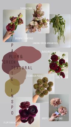 60 Color Schemes ideas in 2022 | wedding flowers, types of flowers, flower names Wedding Flowers Types, Flowers Types, Wedding October, Plum Wedding, Dream Wedding Decorations, Color Pallete, Green Palette, Palette Inspiration, 2022 Wedding