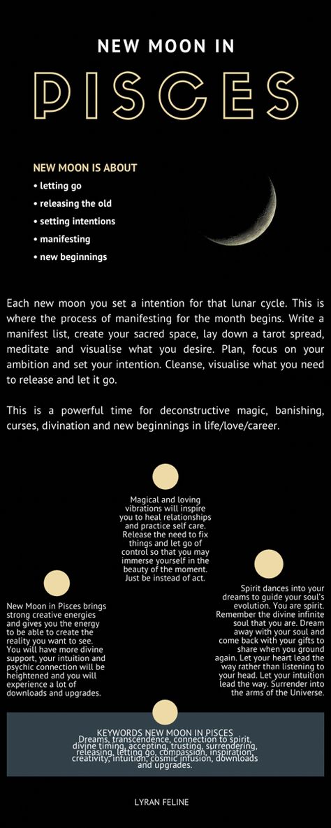 #newmoon #newmoonmagic #newmoonritual #newmooninpisces #moonmagic #moonphases #astrology #pisces #spirituality #awakening #manifestation #seeding #lyranfeline Pisces New Moon Ritual, Pisces Manifestation, Pisces Spirituality, Pisces New Moon, Moon Pisces, New Moon In Pisces, Black Magic Witchcraft, Angel Magic, Moon In Pisces