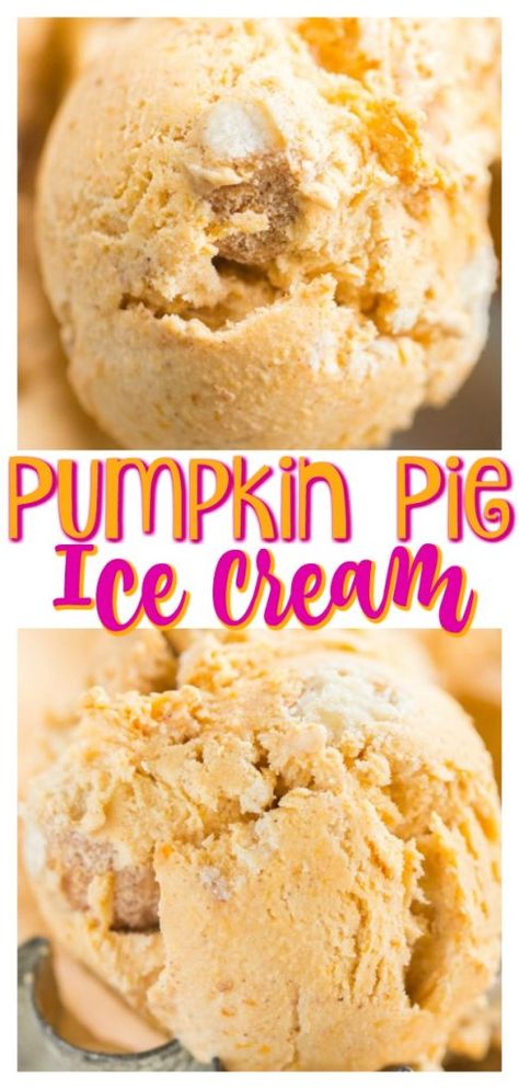 This Pumpkin Pie Ice Cream is not shy on pumpkin, spice, or cinnamon-sugar pie crust bits! #pumpkin #recipe #icecream #pumpkinpie #dessert #pumpkinicecream #pumpkinrecipe Pumpkin Pie Ice Cream Recipe, Sugar Pie Crust, Ice Cream Recipes Machine, Pumpkin Pie Ice Cream, Pie Ice Cream, Pinto Bean, No Bake Pumpkin Cheesecake, Pumpkin Ice Cream, Low Carb Ice Cream