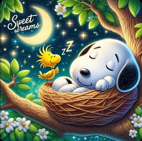 Good Night Disney, Morning Texts For Boyfriend, Snoopy Bedtime, Texts For Boyfriend, Good Morning Texts For Boyfriend, Snoopy Night Time, Good Night Disney Images, Funny Good Night Pictures, Sweet Dreams Pictures