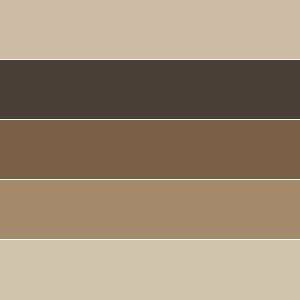 Skoolie Exterior, Boho Color Palettes, Color Palette For Interior, Art Studio Storage, Tyler The Creator Wallpaper, House Color Palettes, Brown House, Brown Color Palette, Colour Pallets