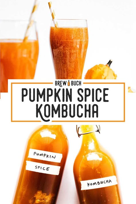 This Pumpkin Spice Kombucha recipe is full of fresh pumpkin puree and seasonal spices, making for a rich and delicious brew. #fermentation #kombucha #pumpkin #pumpkinspice Pumpkin Spice Kombucha, Fall Kombucha Flavors, Pumpkin Kombucha, Fermented Pumpkin, Kombucha Flavors Recipes, Fresh Pumpkin Puree, Kombucha Recipes, Fermented Drinks, Kombucha Flavors