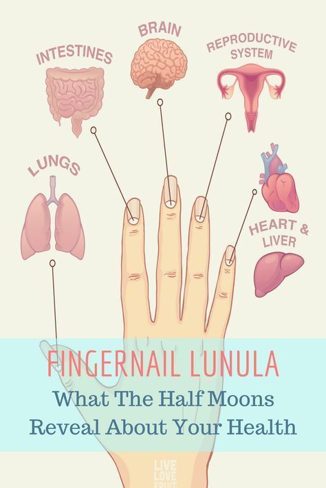 Moons On Fingernails, Fingernail Health, Half Moon Nails, Fruit Health, Half Moons, Coconut Health Benefits, Moon Nails, Health Signs, Natural Health Tips