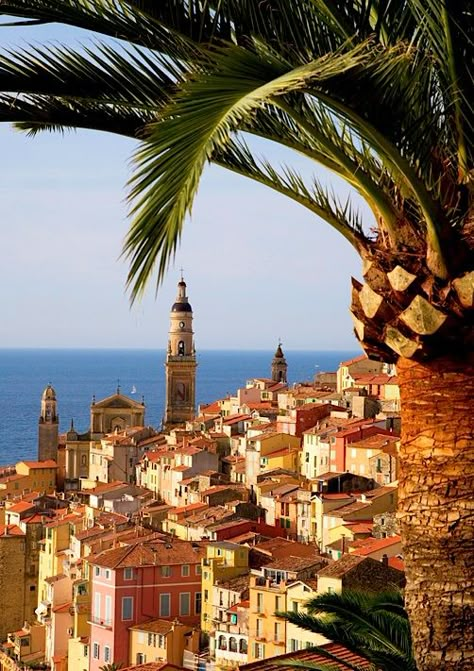 Basilica of Saint-Michel-Archange, Menton, Provence-Alpes-Cote d'Azur, France by Nigel Burkitt via Flickr Menton France, Ao Nang, Voyage Europe, French Twist, Krabi, Pattaya, Chiang Mai, France Travel, South Of France