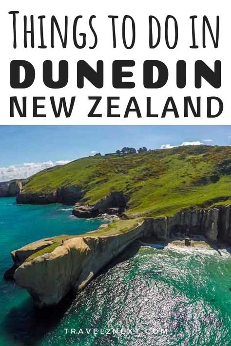 Dunedin New Zealand, New Zealand Cities, New Zealand Itinerary, North Island New Zealand, New Zealand Adventure, New Zealand Travel Guide, Traveling Alone, Visit New Zealand, New Zealand South Island