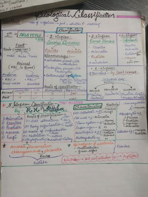 Biological Classification Flow Chart, Biological Classification Mind Map, 5 Kingdom Classification, Classification Of Organisms, Biology Flashcards, Kingdom Classification, Biological Classification, Neet Notes, Bio Notes