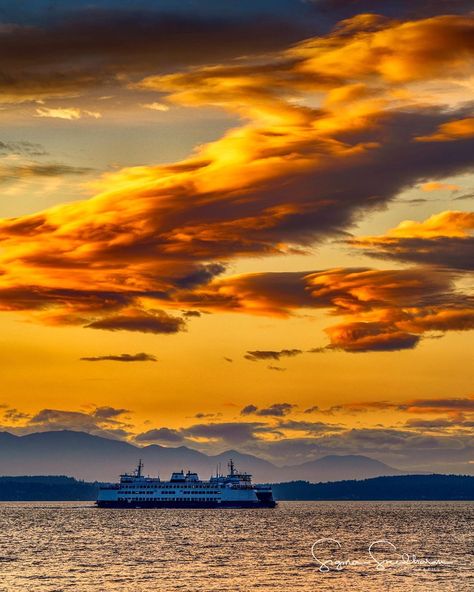 Sig Sreedharan on Instagram: “A sky full of drama tonight at #sunset in #Seattle!  #lenticularclouds #clouddrama #pnwferry  #igers_seattle #pacificnorthwest #pnw…” Mountains And Water, Lenticular Clouds, Visit Seattle, About Trees, Emerald City, October 15, Mean It, The Pacific Northwest, City Life