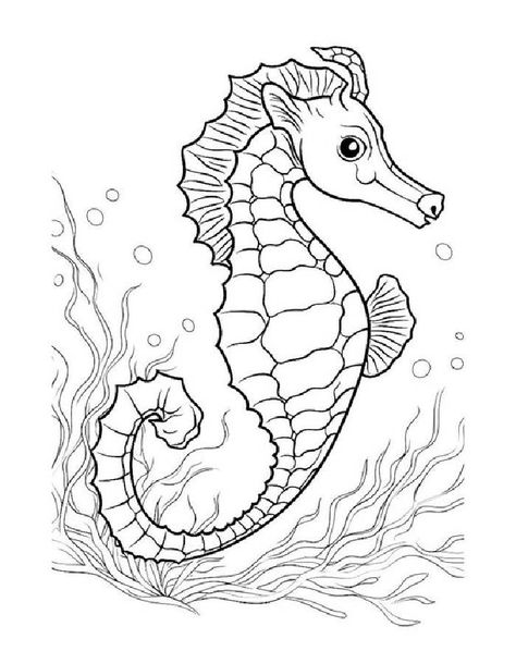 Seahorse Coloring Pages | Free Printable Seahorse Coloring Pages, Seahorse Tattoo, Free Kids Coloring Pages, Jellyfish Tattoo, Coloring Bookmarks, Coloring Pages Free Printable, Printable Pictures, Indoor Fun, Color Worksheets