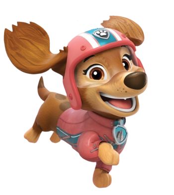 Katie Paw Patrol, Paw Patrol Liberty, Paw Patrol The Movie, Everest Paw Patrol, Baby Dolphins, Paw Patrol Characters, Paw Patrol Pups, Long Haired Dachshund, Paw Patrol Party