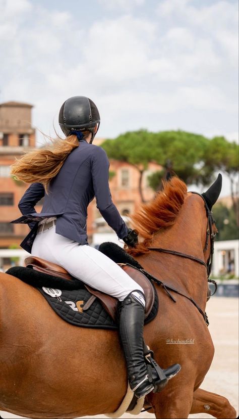 Country Horse Riding, Showjumping Aesthetic, English Horse Riding, Horse Riding Aesthetic, Show Jumping Horses, Equestrian Aesthetic, Equestrian Chic, English Horse, Horse Books