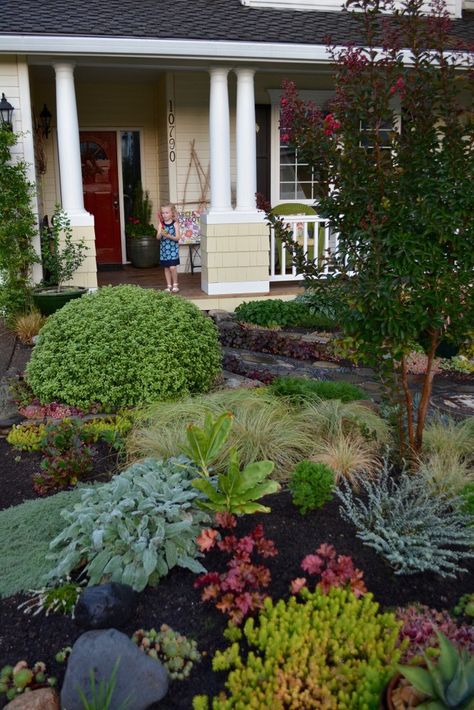 Privacy Landscaping Front Yard, Garden Front Yard, Xeriscape Front Yard, Front Lawn Landscaping, Cheap Landscaping Ideas, Garden Nails, Garden Tattoos, Succulent Landscape Design, Lawn Alternatives