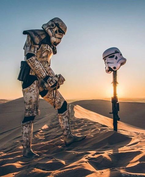 Fallen troop.. Star Wars Clones, Storm Troopers, Star Wars Character, Star Wars Trooper, Star Wars Concept Art, Star Wars Empire, Star Wars Costumes, Its A Mans World, Star Wars Film