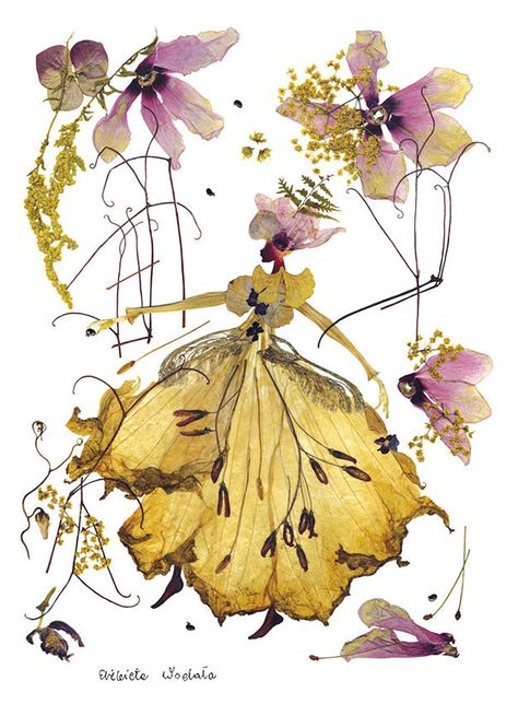 Artist Gives Plants A Second Life By Creating Elegant Floral "Paintings" | DeMilked Flower Petal Art, Polish Artist, Pressed Flower Crafts, Fleurs Diy, Deco Nature, Dried And Pressed Flowers, Dry Plants, Pressed Flower Art, Deco Floral