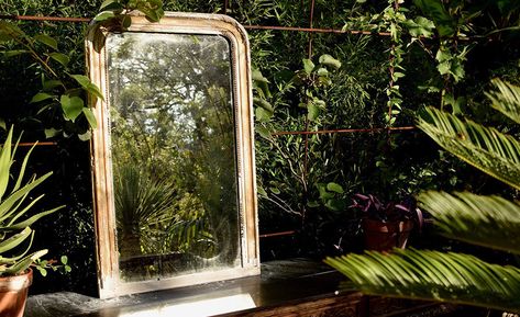 Planting Calendar, Cold Frame, Clay Soil, Window Sill, Garden Party, Garden Furniture, Mirror Table, Outdoor Space, Oversized Mirror