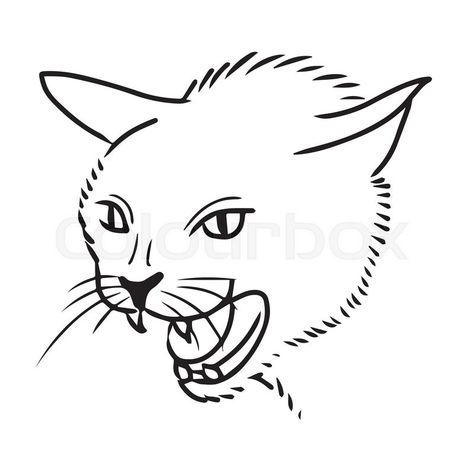 Stock vector of 'freehand sketch illustration of angry cat, kitten doodle hand drawn' Angry Cat Tattoo, Kitten Doodle, Cat Face Tattoos, Cat Face Drawing, Watercolor Embroidery, Freehand Sketch, Teeth Drawing, Podcast Logo, Cat Hand