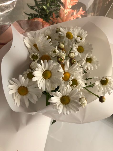 Luxury Flower Bouquets, Daisy Bouquet, Boquette Flowers, Nothing But Flowers, Flower Therapy, Beautiful Bouquet Of Flowers, Flower Lover, Beautiful Bouquet, Flowers Nature