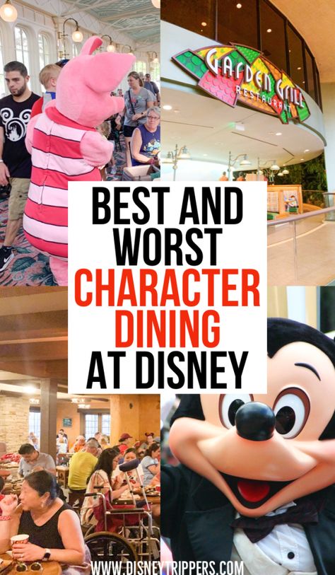 Character Meals At Disney World, Character Dining At Disney World, Disney World Character Dining, Disney Character Meals, Disney Character Dining, Dining At Disney World, Disney Worlds, Florida Disney, Disney Eats