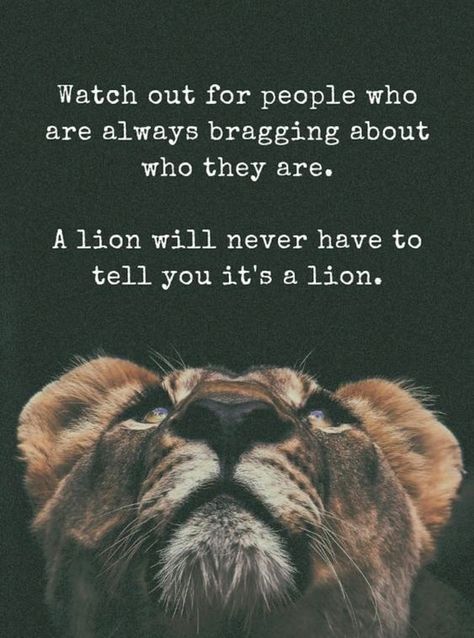 Namaste Happy Saturday, Bring out your strengths in your daily actions while remaining humble. Wishing you an energizing day! #CEOofYourLife #BeYou #BeHumble Pretending Quotes, Bragging Quotes, Lion Wildlife, Chess Quotes, Humble Quotes, Lion Quotes, A Lion, People Quotes, Quotable Quotes