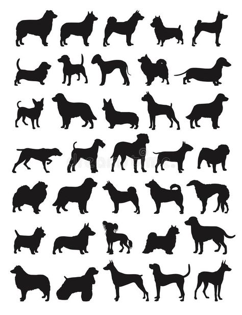 Bulldog Clipart, Dog Outline, Popular Dog Breeds, Dog Vector, Corgi Puppy, Dog Silhouette, Popular Dog, Free Dogs, Dog Illustration