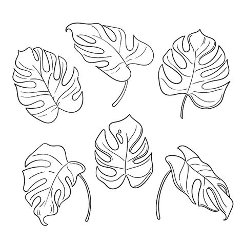 Palm Leaf Drawing Simple, Monstera Leaf Sketch, How To Draw Monstera Leaf, Monstera Leaf Illustration, Monstera Leaves Drawing, Monstera Leaf Outline, Monstera Leaf Drawing, Monstera Plant Drawing, Monstera Outline