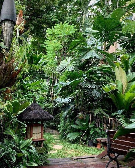 Dry Tropical Garden, Outside Bed Ideas, Tropical Garden Seating Area, Tropical Garden Paths And Walkways, Lush Deck Garden, Jungle Garden Ideas Small Spaces, Tropical Pond Ideas, Tropical Garden With Water Feature, Tiny Tropical Garden