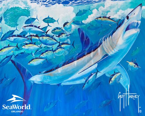 Guy Harvey paints SeaWorld Mako Guy Harvey Art, Shark Mural, Shark Conservation, Save The Sharks, Sea Creatures Art, Marine Artist, Seaworld Orlando, Shark Art, Shark Fishing