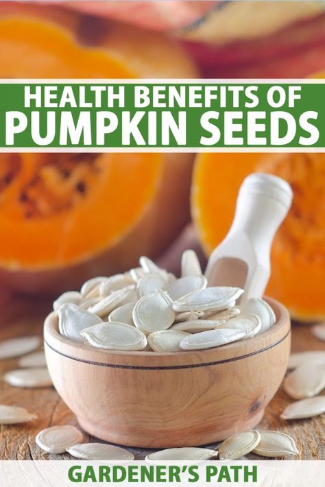 Pumpkin Seed Nutrition, Preschool Healthy Eating, Benefits Of Pumpkin Seeds, Benefits Of Pumpkin, Pumpkin Seeds Benefits, Carb Friendly Recipes, Seeds Benefits, Healty Dinner, Healthy Nutrition Plan