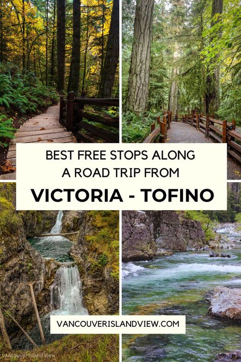 Are you looking for an incredible Vancouver Island road trip? Embark on this scenic drive from Victoria BC to Tofino! Discover the best free stops along the way, from stunning beaches to breathtaking viewpoints. This guide gives you all the travel tips you need to complete this journey. Shawnigan Lake, Port Alberni, Castles To Visit, Vancouver Travel, Victoria Island, Cascade Waterfall, Ancient Forest, Victoria Bc, Scenic Drive