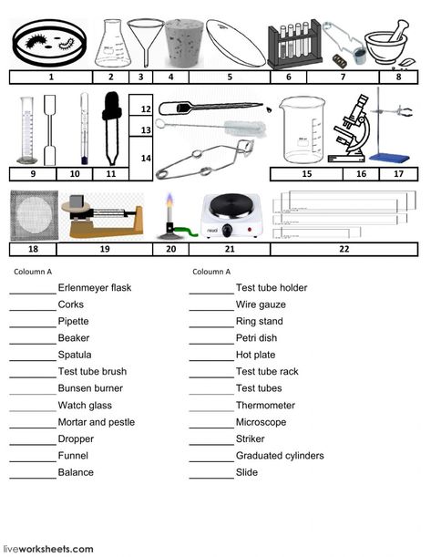 Materials Worksheet, Safety Worksheets, Science Lab Safety, Chemistry Lab Equipment, Biology Lab, Science Equipment, Chemistry Lab, Lab Safety, Chemistry Labs