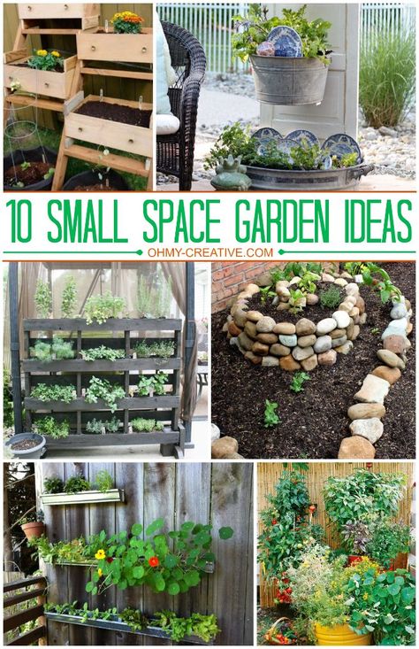 10 Small Space Garden Ideas  |  OhMy-Creative.com #Gardening Small Space Garden Ideas, Small Space Garden, Garden Ideas For Small Spaces, Kebun Herbal, Små Rum Lidt Plads, Diy Garden Ideas, Space Garden, Jardim Diy, Garden Ideas Cheap