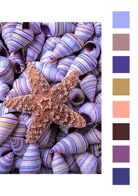 Atlantis Color Palette, Afrikaanse Idiome, Purple Seashell, Colour Shades, Color Catalog, Business Colors, Print Design Art, Color Trends Fashion, Color Me Beautiful