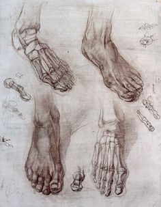 richie_rich Feet Drawing, Anatomy Bones, Male Figure Drawing, Human Anatomy Drawing, Human Figure Drawing, Academic Art, Human Anatomy Art, Anatomy Sketches, Anatomy Poses