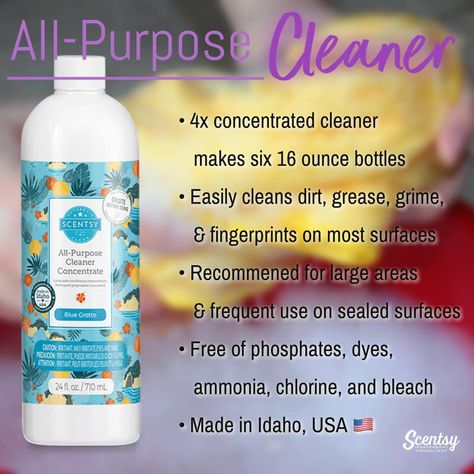 All Purpose Cleaner Scentsy, Scentsy All Purpose Cleaner, Scentsy Unplugged, Scentsy Cleaning Products, Scentsy 2022, Scentsy Clean, Scentsy Party Games, Scentsy Pictures, Scentsy Recipes