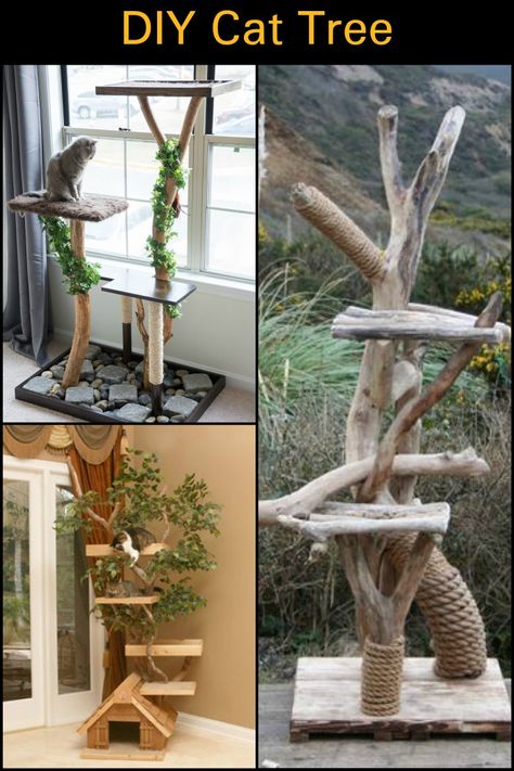 Give a Dead Tree New Life by Turning it Into an Awesome And Classy Cat Tower! Diy Cat Tree Log, Diy Cat Tower Plans Tree Designs, Diy Cat Tree Real Branches, Branch Cat Tree, Cat Tower Diy, Cat Tower Plans, Cat Trees Diy Easy, Cat Tower Tree, Cat Trees Homemade