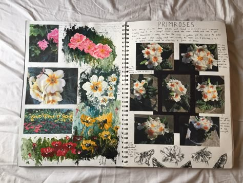 Flower experimentation with acrylic Flower Art Gcse Sketchbook Ideas, Flower Sketchbook Pages, Acrylic Sketchbook Ideas, Flower Sketchbook Ideas, Flower Artists Gcse, Flowers Gcse Art, Experimentation Art Gcse, Art Sketchbook Flowers, Experimentation Art