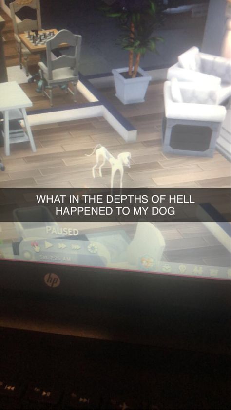 Funny Sims Glitches, Sims 4 Funny Glitches, Sims 4 Glitches, Sims4 Memes, Sims 4 Dog, Sims Glitches, Aesthetic Sims, Sims Funny, Sims Memes