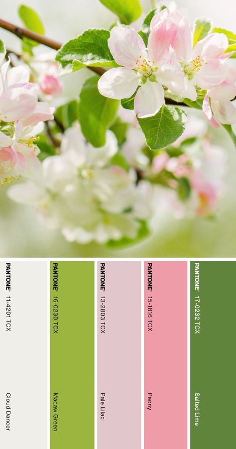 Easter Colour Palette, Spring Pastel Color Palette, Spring Pallete Color, March Color Palette, Spring Color Combinations, Color Palette Pantone, Pantone Color Palette, Color Palette Spring, Warm Spring Color Palette