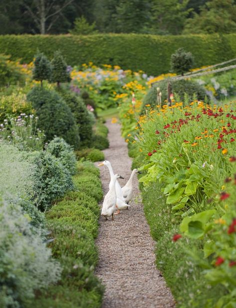 Alan Titchmarsh explores the garden of BirkhallThe Prince of Wales's Scottish home on the Balmoral estate. Front Yard Rock Garden, Landscape Design Front Yard, Runner Ducks, Landscape Yard, Scottish Homes, Horseshoe Bay, Farm Lifestyle, Dream Farm, Garden Farm