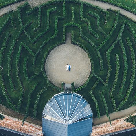 Swamp Wedding, Maze Wedding, Combermere Abbey, Garden Maze, Maze Design, Romantic Wedding Photos, Wedding Photo Ideas, Creative Wedding Photography, Fruit Tree