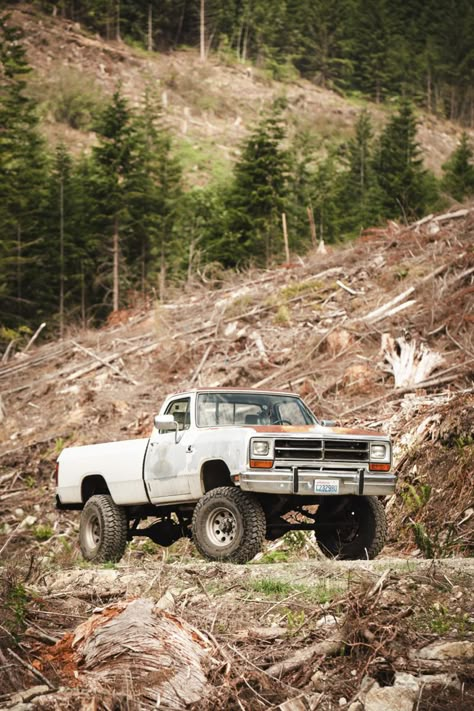 Classic Truck Wallpaper, Old Diesel Trucks, 1990 Dodge Ram Truck, First Gen Dodge Cummins, Dodge Truck Aesthetic, 1st Gen Dodge, 12 Valve Cummins, Trucks Dodge, 1st Gen Cummins