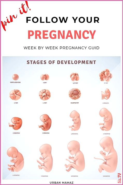 Symptoms of early pregnancy before the missed period What to look for early pregnancy ..., #5montholdbabydevelopement #babydevelopementactivities #babydevelopementbrain #babydevelopementbyweek #babydevelopementchart #babydevelopementfirstyear #babydevelopementinwomb #babydevelopementmilestones #babydevelopementstages #babydevelopementtoys #early #missed #period #pregnancy #symptoms Check more... Pregnancy Symptoms By Week, Baby Development In Womb, Body Changes During Pregnancy, Stages Of Baby Development, Baby Development Activities, 20 Weeks Pregnant, Pregnancy Week, Pregnancy Info, Pregnancy Guide