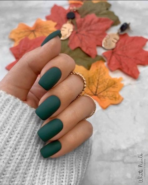 Powder Nail Ideas, Black Toe Nails, Matted Nails, Fall Nail Ideas, Makeup Nails Designs, Pretty Nail Colors, Maroon Nails, Nail Art For Beginners, October Nails